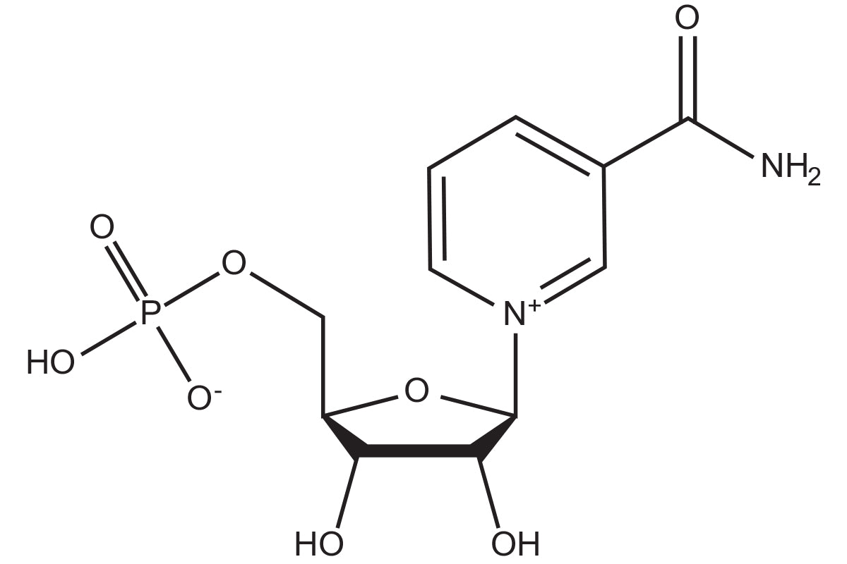 NMN (B-nicotinamide mononucleotide) – pristines.com