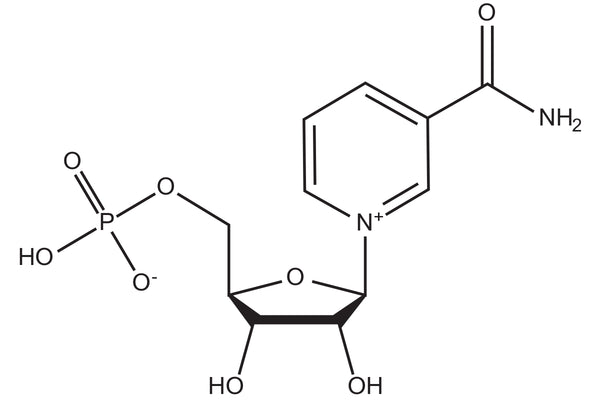 NMN (B-nicotinamide mononucleotide)