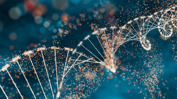 A close up artistic representation of human DNA.