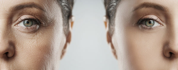 15 HALLMARKS OF AGING - AND HOW TO COUNTERACT THEM