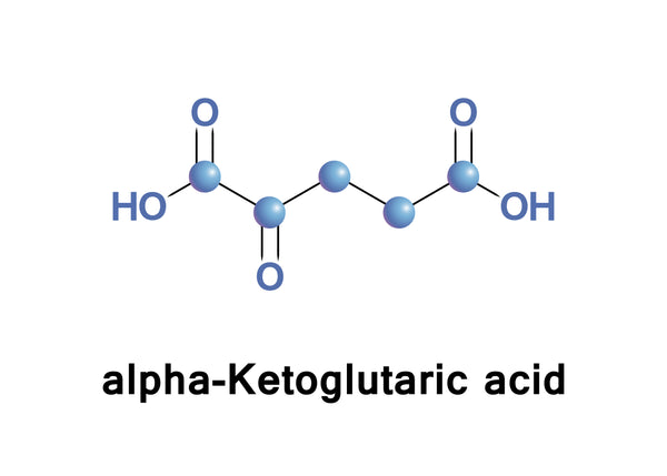 AKG (Alpha-ketoglutarate)