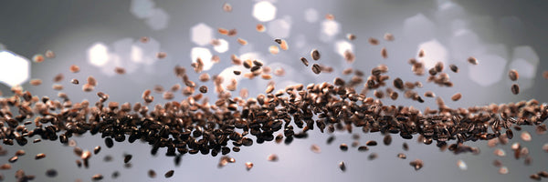 Coffee beans rich in trigonelline compound that supports muscle health and healthy aging