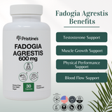 Fadogia Agrestis