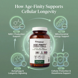 Age Finity NAD & NR Cellular Optimzation Mitochondrial Supplement - NAD, Nicotinamide Riboside, TMG, CoQ10, GlyNAC, Resveratrol, Spermidine - Cellular Longevity - 3rd Party Tested