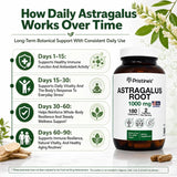 Astragalus Root - 3 Month Supply