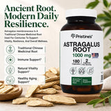 Astragalus Root - 3 Month Supply