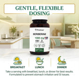 Berberine 1000 MG - 75 Day Supply
