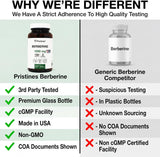 Berberine 1000 MG - 75 Day Supply