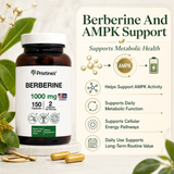 Berberine 1000 MG - 75 Day Supply
