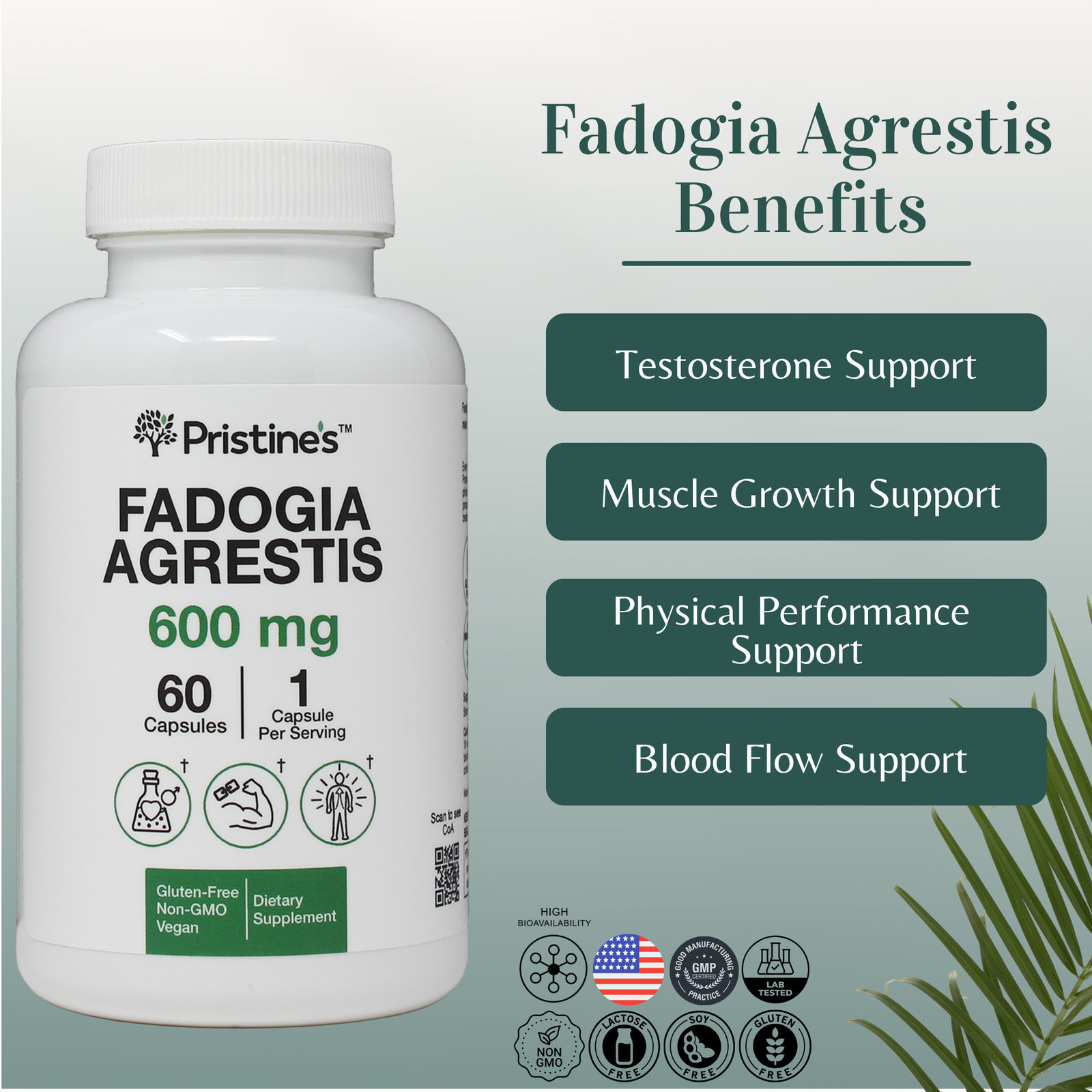 Fadogia Agrestis 600 MG