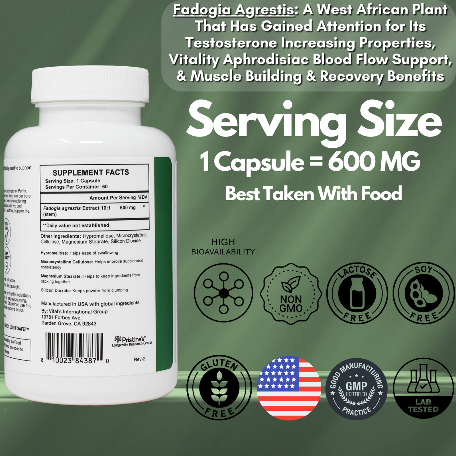 Fadogia Agrestis 600 MG – pristines.com