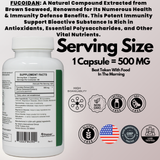 Fucoidan - 60 Day Supply