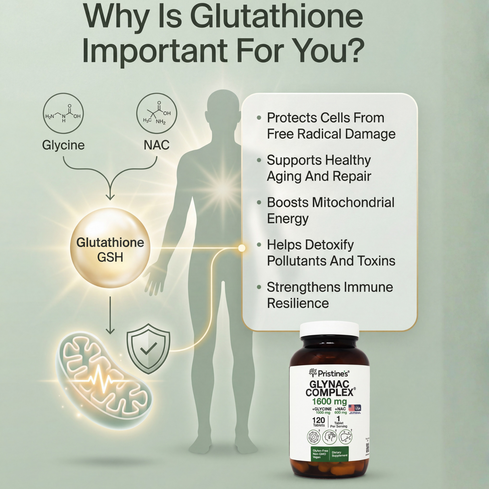 the importance of glutathione Functional role of glutathione