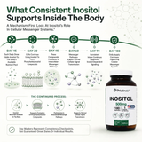 Inositol 500 MG - 180 Day Supply
