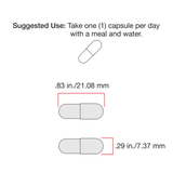 DHEA fertility supplement for men & women testosterone estrogen production lean muscle growth 