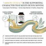 PRISTINE'S CelluClean Liver Cleanse and Detox Complex – TUDCA, Yarrow Extract & Milk Thistle - 90 Day Supply